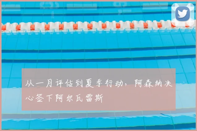 从一月评估到夏季行动，阿森纳决心签下阿尔瓦雷斯