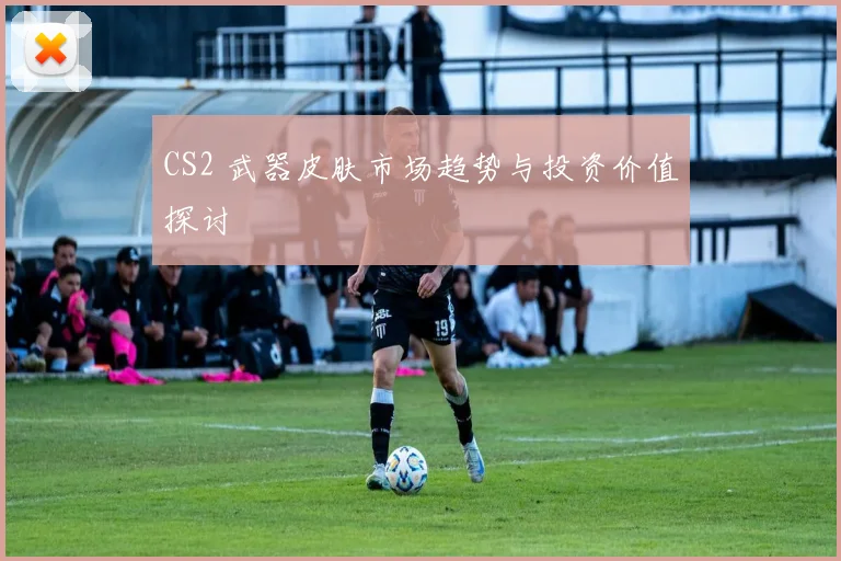 CS2 武器皮肤市场趋势与投资价值探讨